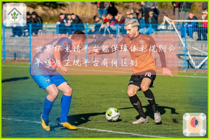 世界杯竞猜平台能保障体彩规则公平吗与正规平台有何区别