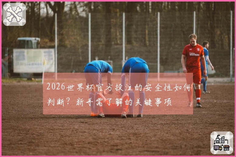 2026世界杯官方投注的安全性如何判断？新手需了解的关键事项